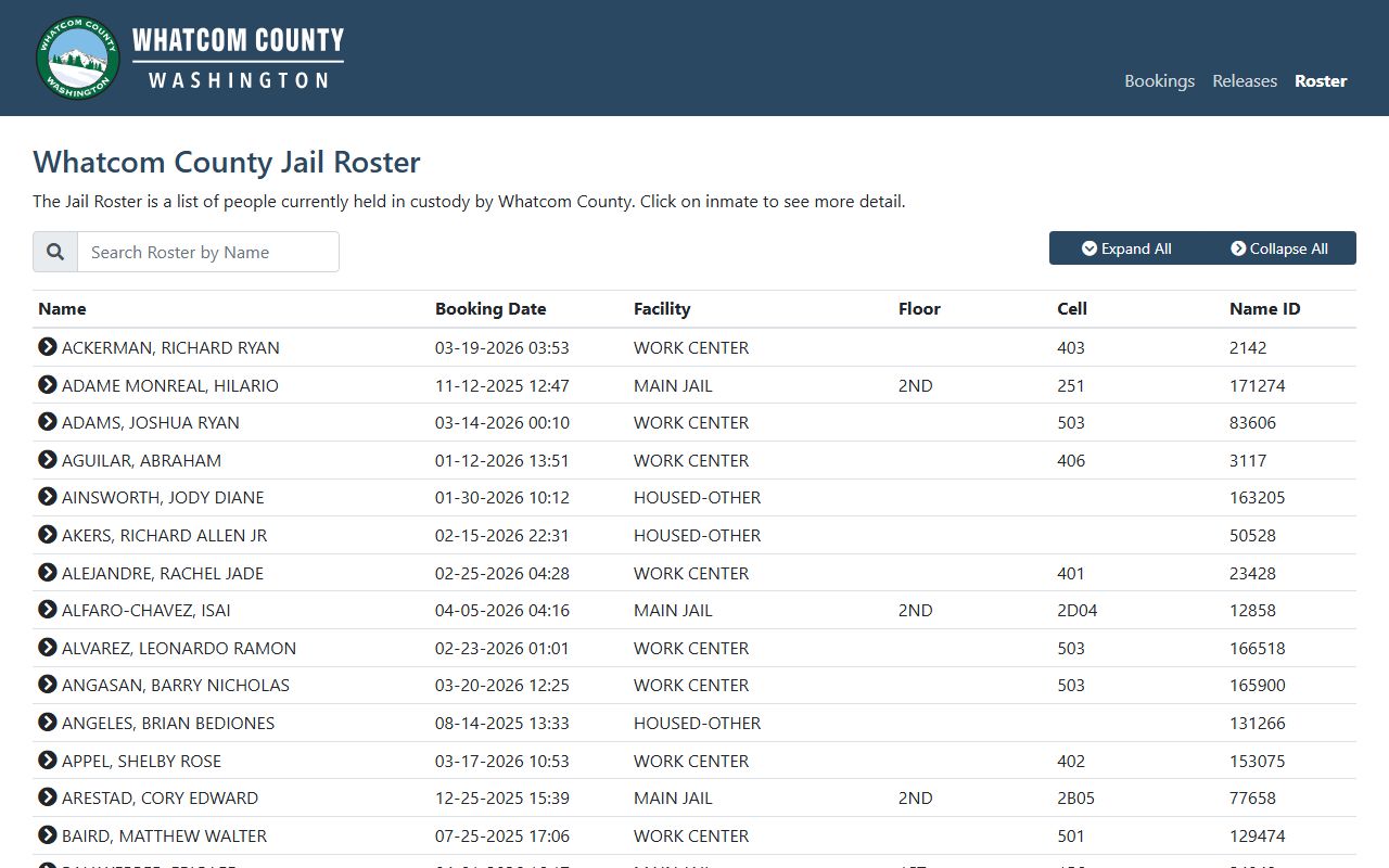 Whatcom County jail roster search showing current inmate population